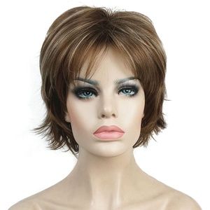 Short Layered Shaggy Brown Highlights Wig